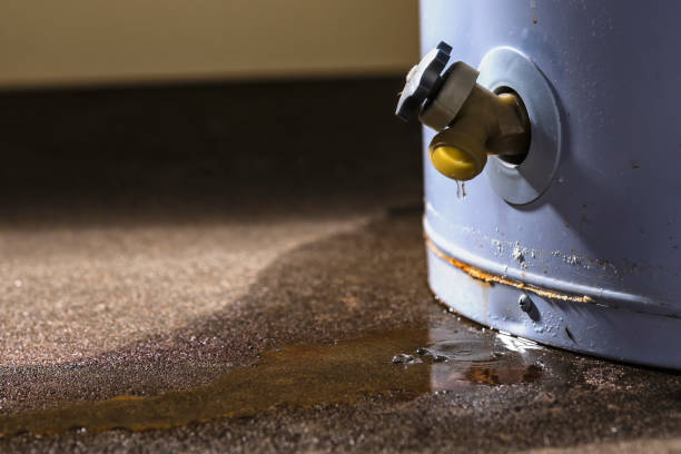 Best Local water damage restoration  in Terrell, TX