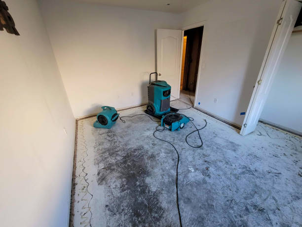  Terrell, TX Water damage restoration Pros