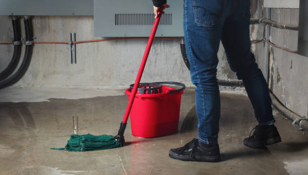 Best Water damage restoration near me  in Terrell, TX