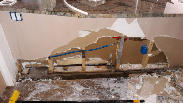 Best Basement water damage restoration  in Terrell, TX