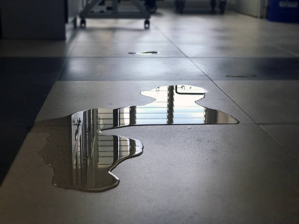 Best 24-hour water damage restoration  in Terrell, TX
