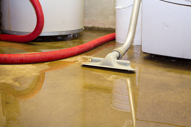 Water damage restoration experts in Terrell, TX