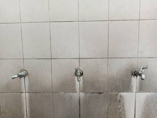 Best Flooded house restoration  in Terrell, TX