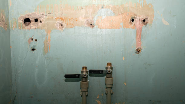 Best Commercial water damage restoration  in Terrell, TX