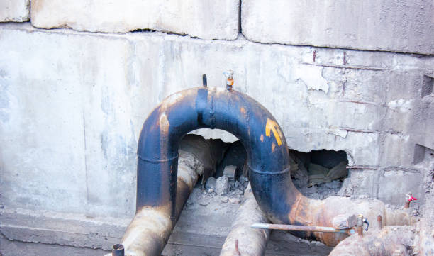 Best 24/7 water damage repair  in Terrell, TX
