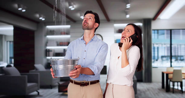 Best Flood restoration services  in Terrell, TX